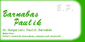 barnabas paulik business card